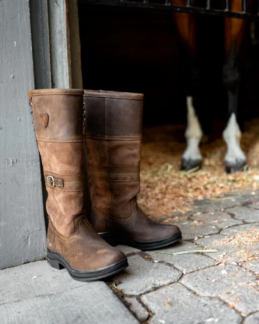 Ariat Langdale Waterproof Boots