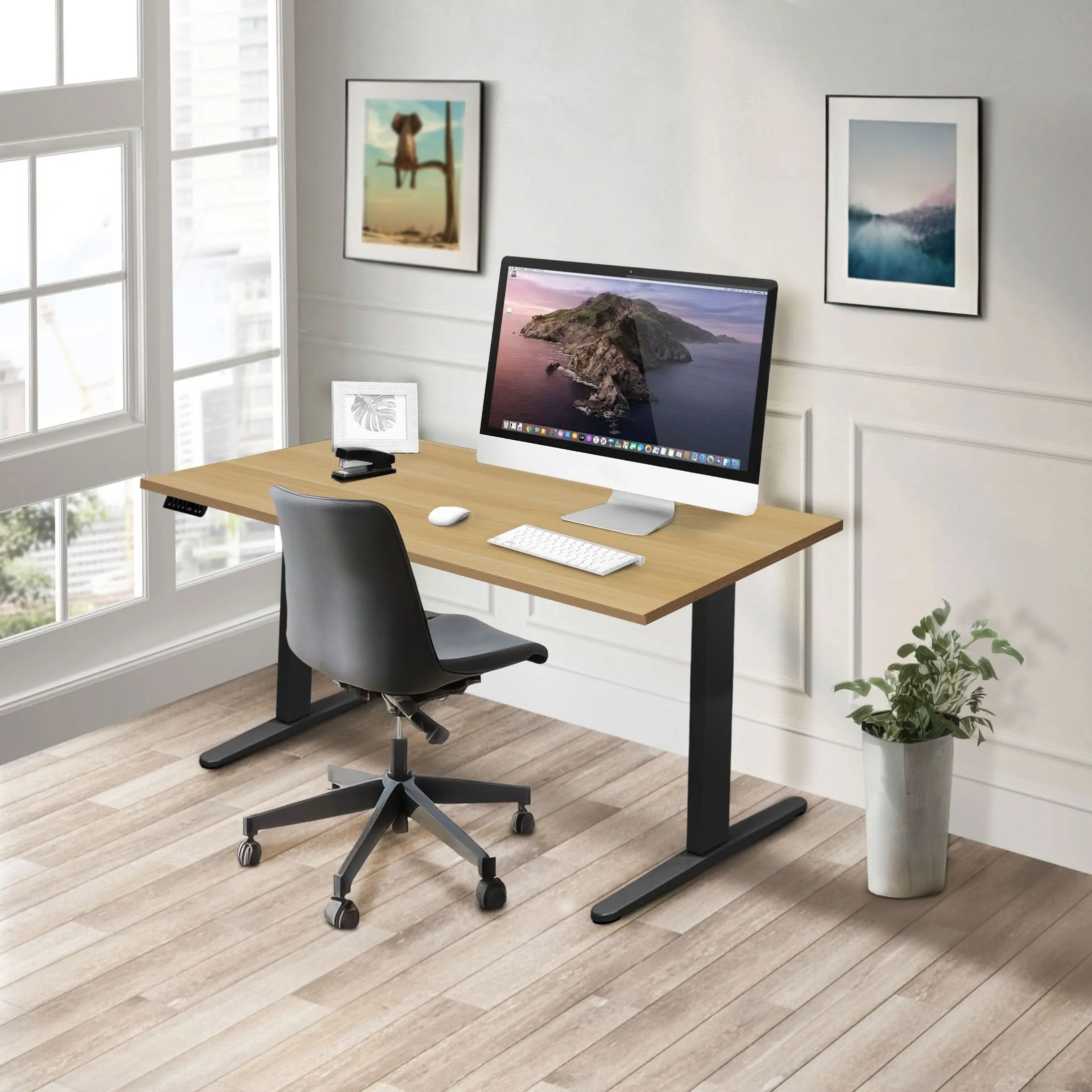 Dual Motor Electric Standing Desk with 55" Tabletop - Black Base