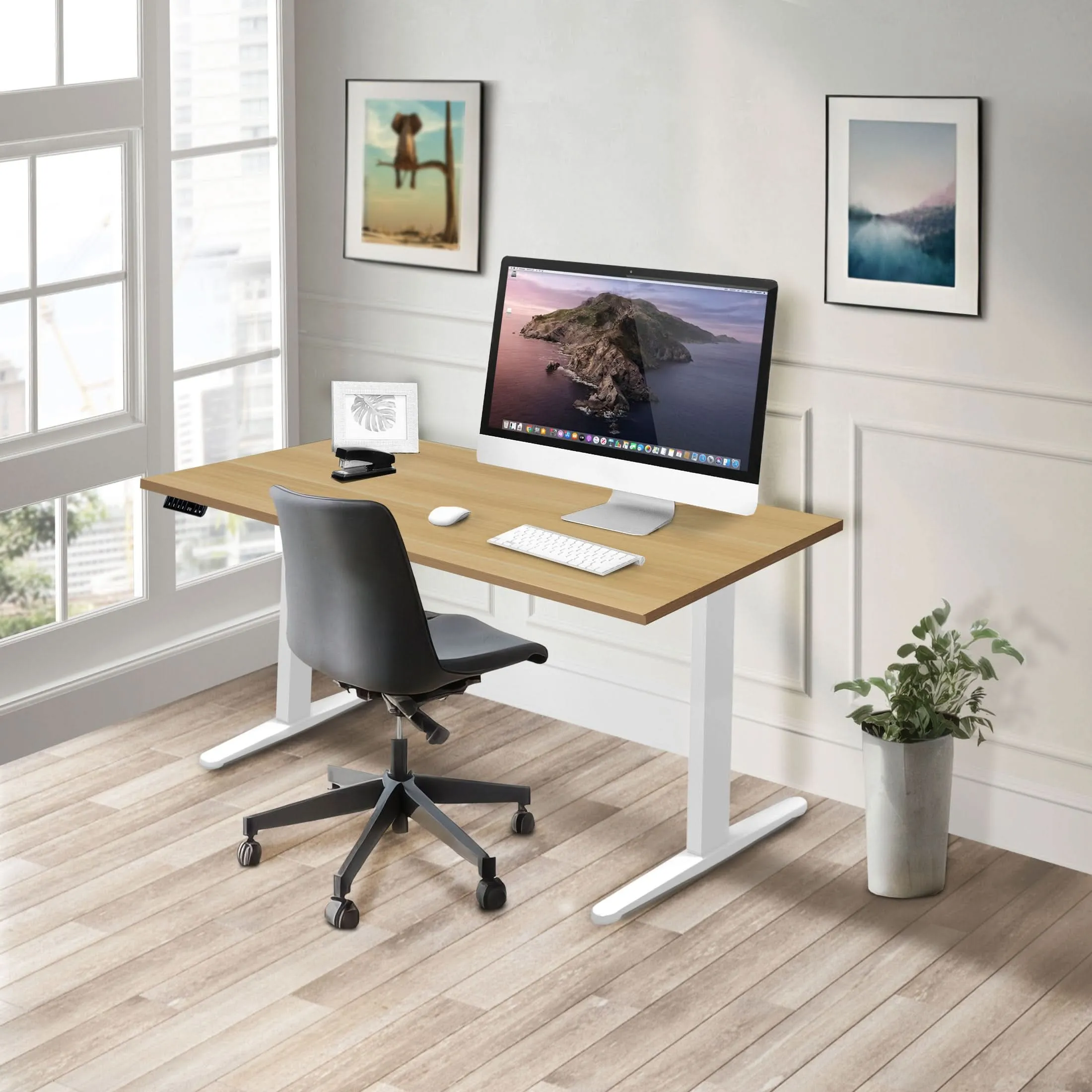 Dual Motor Electric Standing Desk with 55" Tabletop - White Base