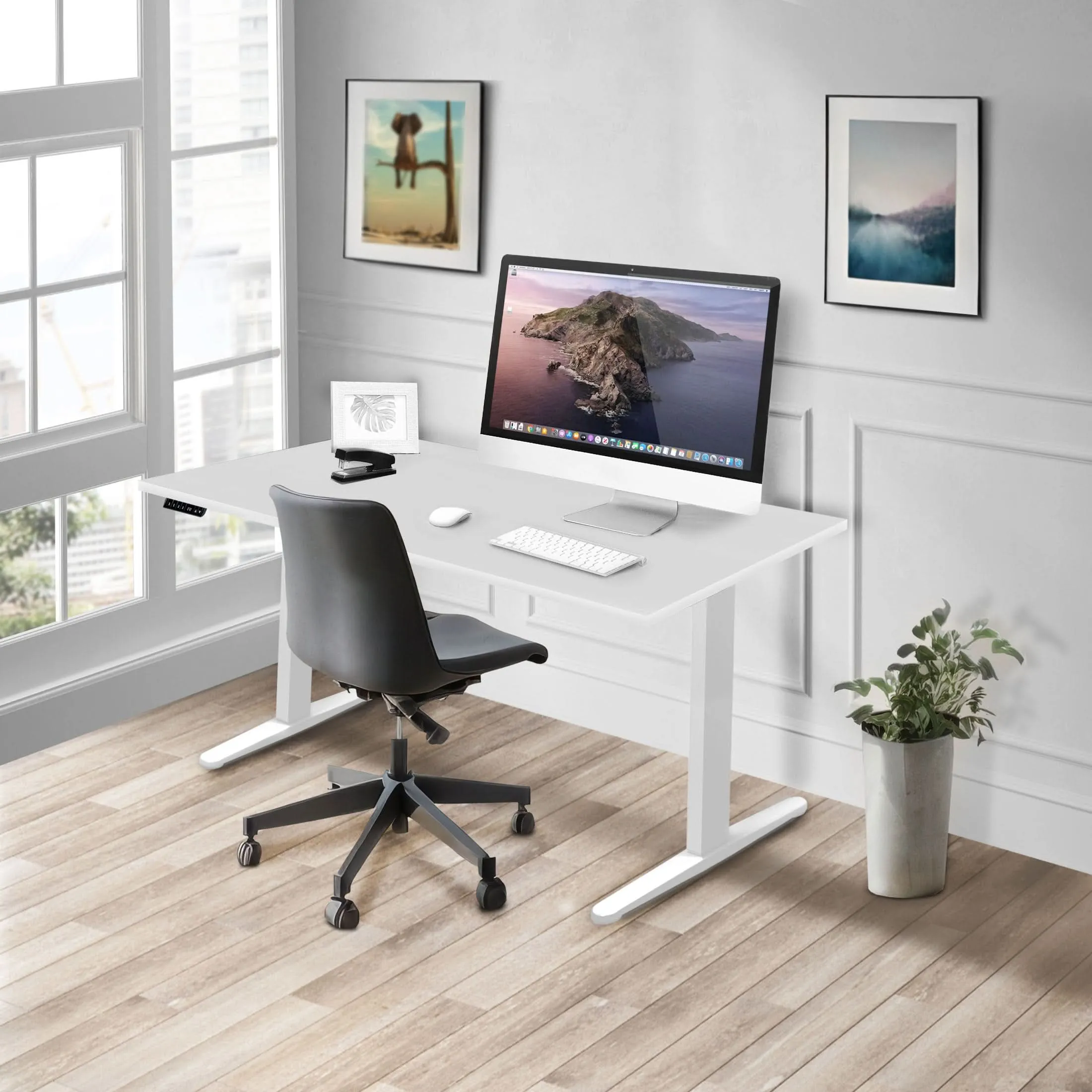 Dual Motor Electric Standing Desk with 55" Tabletop - White Base